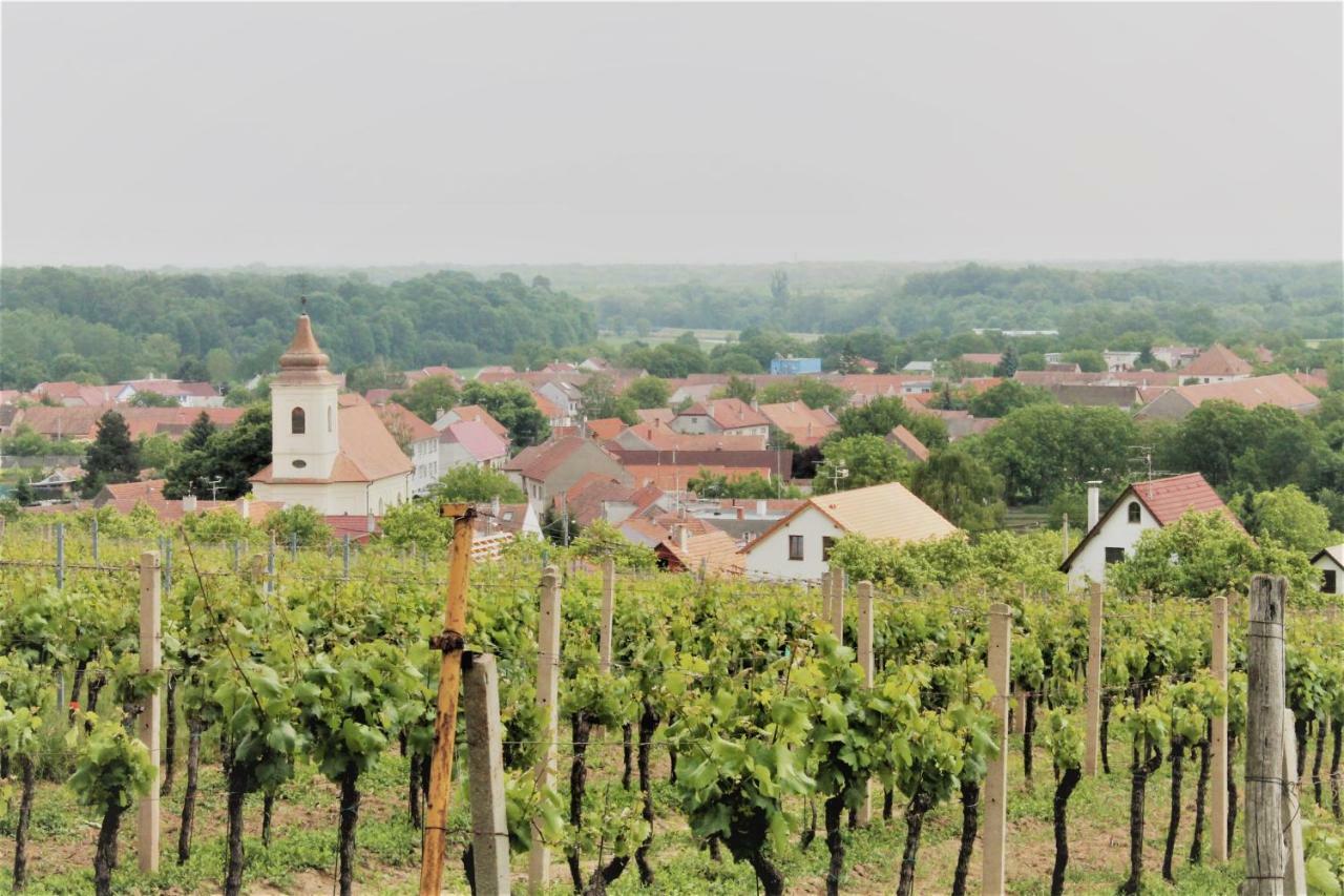 Ubytovani U Lisaka Foxe Villa Bulhary Bagian luar foto
