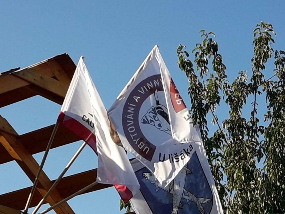 Ubytovani U Lisaka Foxe Villa Bulhary Bagian luar foto